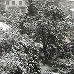 Harzgenuss Apartment Wernigerode