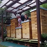 Harzgenuss Apartment *