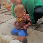 Harzgenuss * Wernigerode