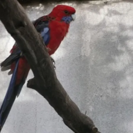 Harzgenuss Wernigerode