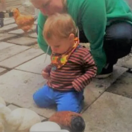 Harzgenuss * Вернигероде