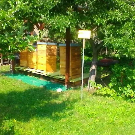 Harzgenuss Апартаменты