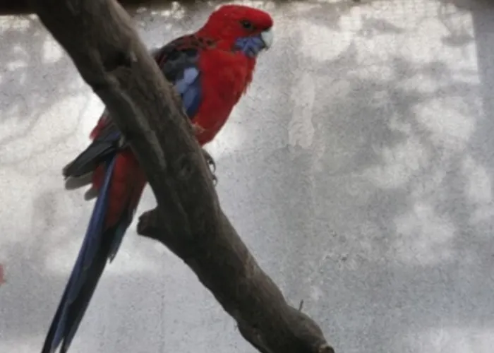 Harzgenuss Вернигероде