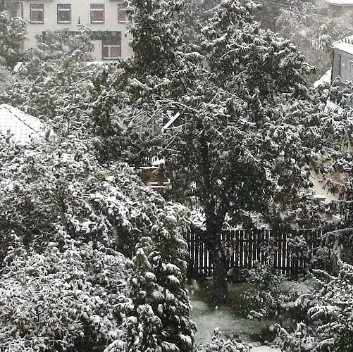 Harzgenuss アパート ヴェルニゲローデ