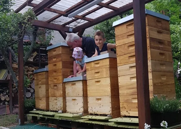 Harzgenuss アパート *