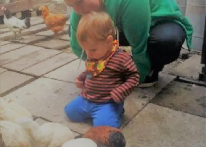 Harzgenuss * Вернигероде