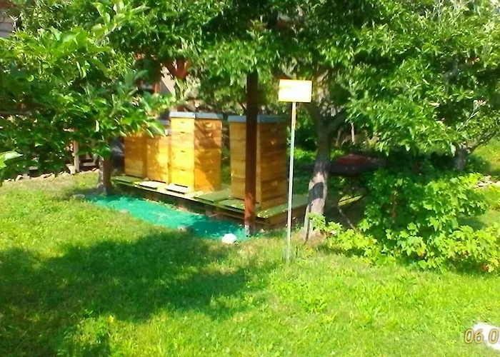 Harzgenuss Apartment